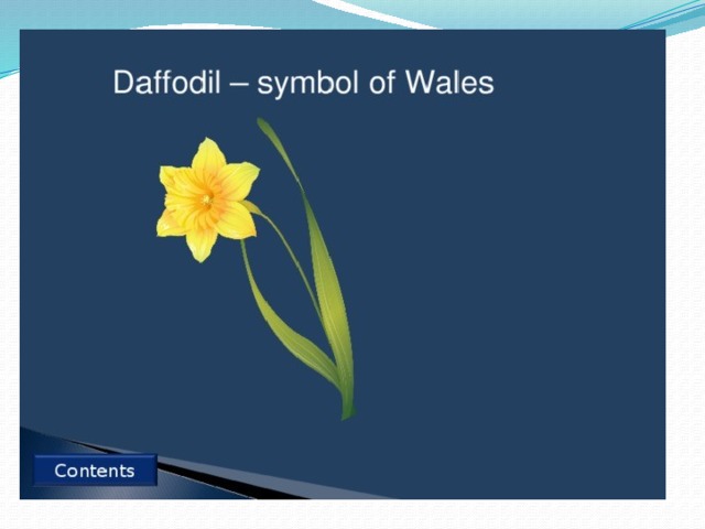 Daffodil symbol