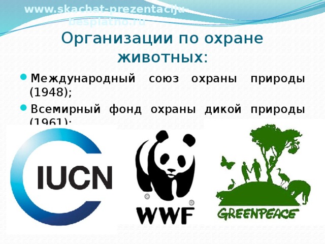 www.skachat-prezentaciju-besplatno.ru Организации по охране животных: Международный союз охраны природы (1948); Всемирный фонд охраны дикой природы (1961); Гринпис (1971); 