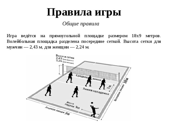 Правила игры Общие правила Игра ведётся на прямоугольной площадке размером 18х9 метров. Волейбольная площадка разделена посередине сеткой. Высота сетки для мужчин — 2,43 м, для женщин — 2,24 м. 