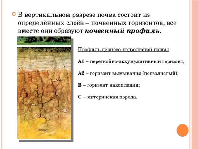 Почвы а1. Схема почвенный профиль дерново-подзолистой почвы. Почвенные горизонты дерново-подзолистых почв. Подзолистая почва профиль почвы. Дерново-подзолистые почвы гумусовый Горизонт.