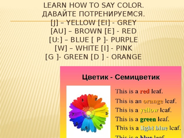 Say the colour перевод на русский