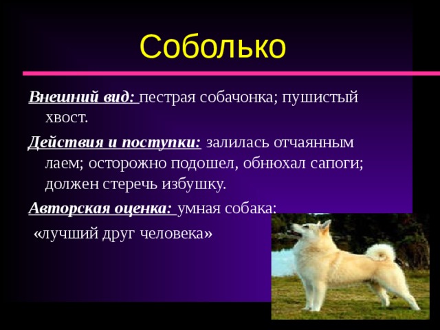 План дружбы соболька и приемыша запиши в рабочую тетрадь приготовься пересказать историю