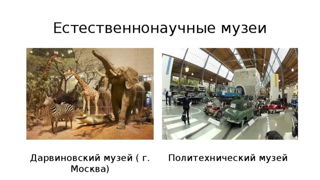 Естественнонаучные музеи Дарвиновский музей ( г. Москва) Политехнический музей 