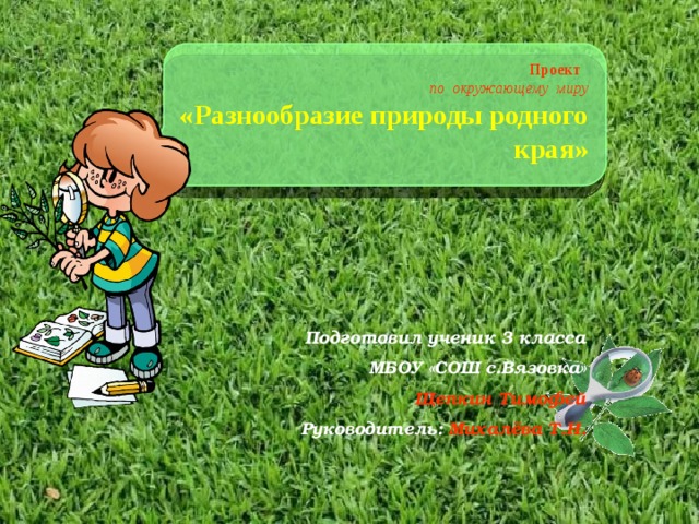 Проект  по окружающему миру  «Разнообразие природы родного края» Подготовил ученик 3 класса МБОУ «СОШ с.Вязовка» Щепкин Тимофей Руководитель: Михалёва Т.Н. 