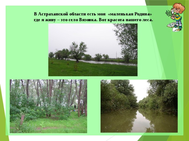 В Астраханской области есть моя «маленькая Родина» где я живу – это село Вязовка. Вот красота нашего леса. 
