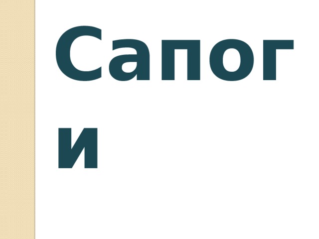 Сапоги 