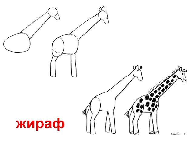 Рисунки животных по схеме