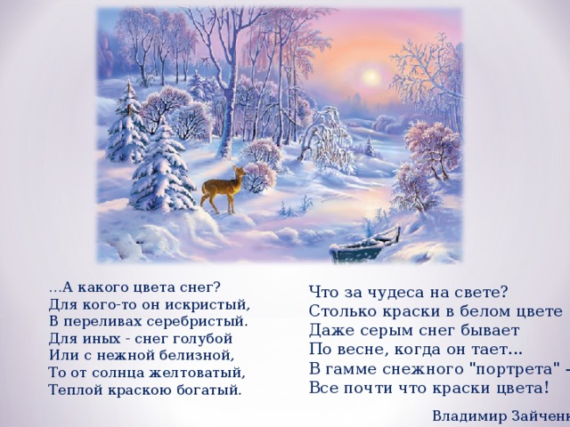 … А какого цвета снег?  Для кого-то он искристый,  В переливах серебристый.  Для иных - снег голубой  Или с нежной белизной,  То от солнца желтоватый,  Теплой краскою богатый. Что за чудеса на свете?  Столько краски в белом цвете  Даже серым снег бывает  По весне, когда он тает...  В гамме снежного 