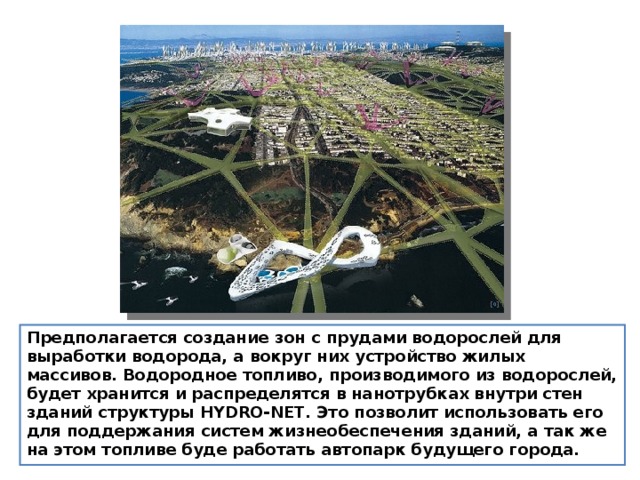 Предполагается создание зон с прудами водорослей для выработки водорода, а вокруг них устройство жилых массивов. Водородное топливо, производимого из водорослей, будет хранится и распределятся в нанотрубках внутри стен зданий структуры HYDRO-NET. Это позволит использовать его для поддержания систем жизнеобеспечения зданий, а так же на этом топливе буде работать автопарк будущего города.  