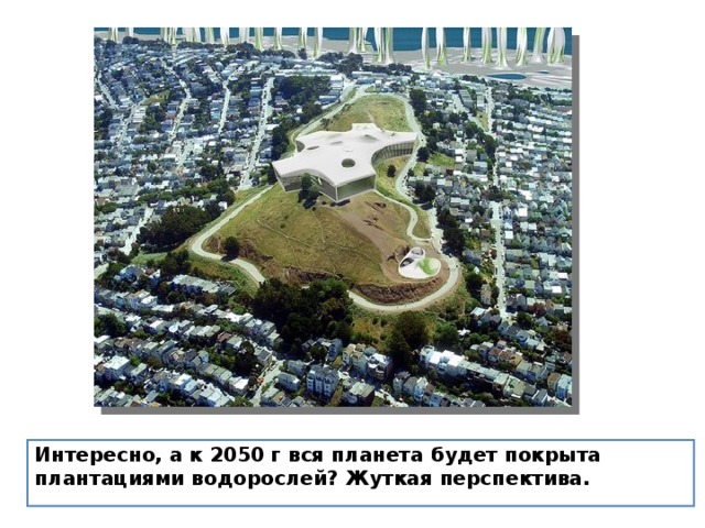 Интересно, а к 2050 г вся планета будет покрыта плантациями водорослей? Жуткая перспектива. 