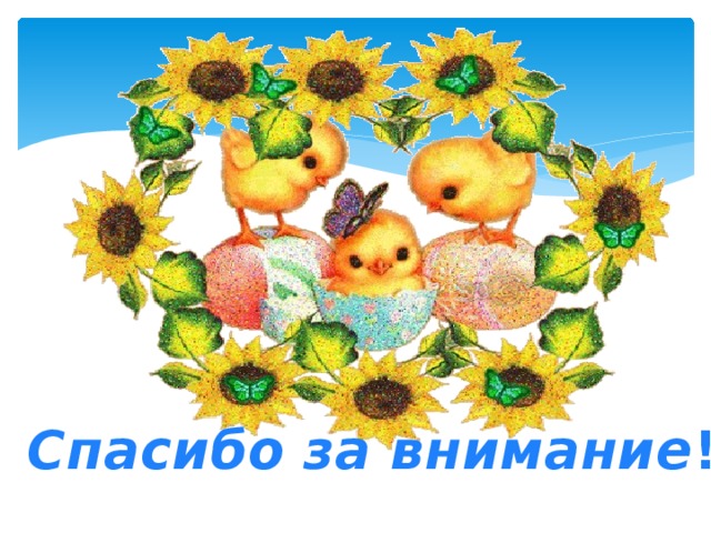Спасибо за внимание ! 