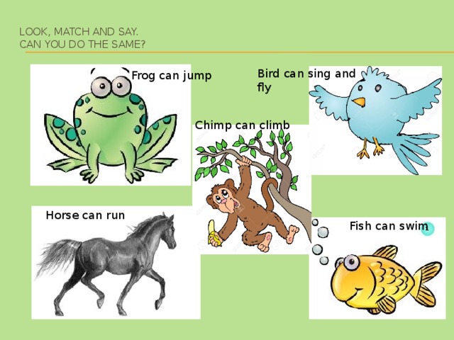 A bird can climb. A Frog can Jump. Jump Frog can a составить предложение. Животные на английском can Jump. Frogs can.