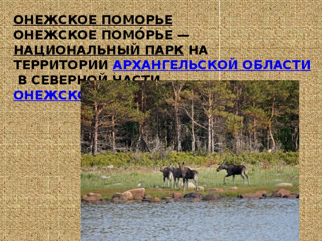 Онежское Поморье  Онежское Помо́рье —  национальный парк  на территории  Архангельской области  в северной части  Онежского полуострова .   