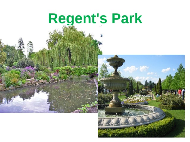 Regent's Park 