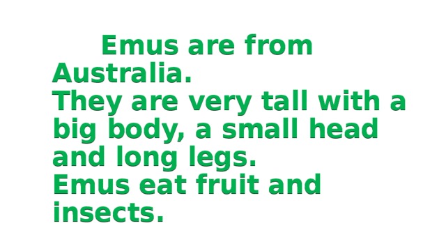  Emus are from Australia.  They are very tall with a big body, a small head and long legs.  Emus eat fruit and insects. 