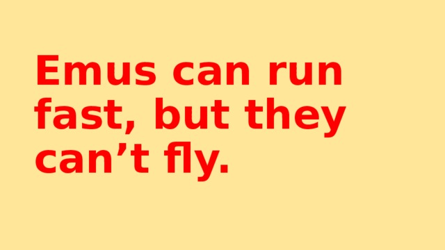 Emus can run fast, but they can’t fly. 