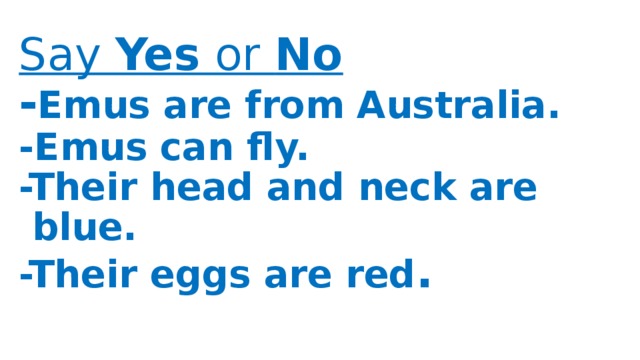Say Yes or No  - Emus are from Australia.  -Emus can fly.  -Their head and neck are blue.  -Their eggs are red . 