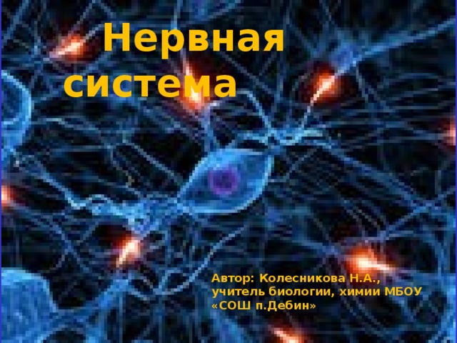 Нервная система Автор: Колесникова Н.А., учитель биологии, химии МБОУ «СОШ п.Дебин»