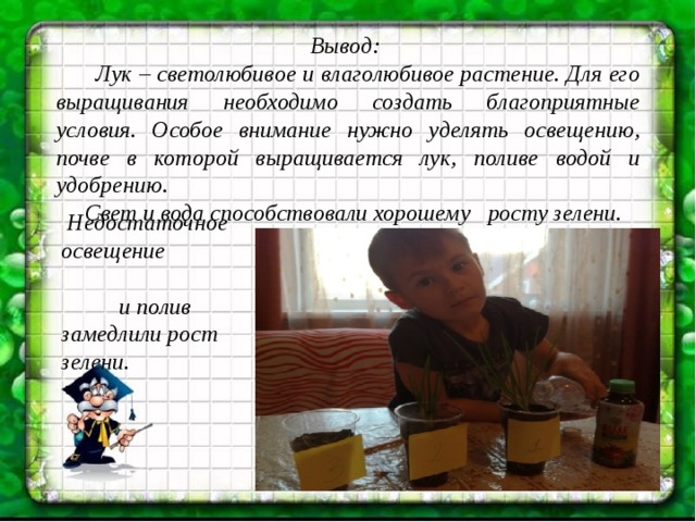   Вывод:  Лук – светолюбивое и влаголюбивое растение. Для его выращивания необходимо создать благоприятные условия. Особое внимание нужно уделять освещению, почве в которой выращивается лук, поливе водой и удобрению.  Свет и вода способствовали хорошему росту зелени.     Недостаточное освещение и полив замедлили рост зелени.   