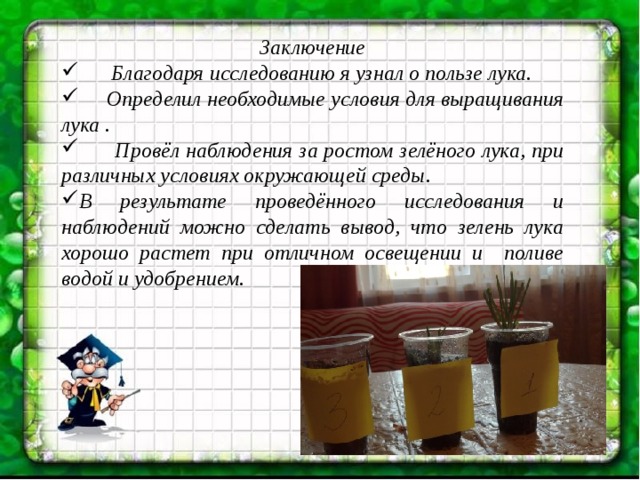 Заключение  Благодаря исследованию я узнал о пользе лука.  Определил необходимые условия для выращивания лука .  Провёл наблюдения за ростом зелёного лука, при различных условиях окружающей среды. В результате проведённого исследования и наблюдений можно сделать вывод, что зелень лука хорошо растет при отличном освещении и поливе водой и удобрением.    