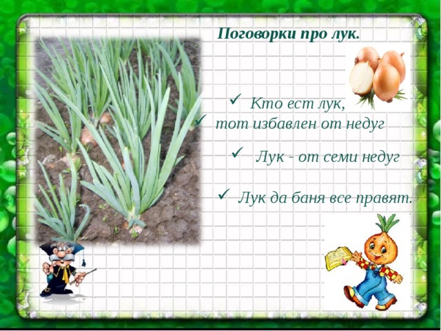 Поговорки про лук. Кто ест лук, тот избавлен от недуг   Лук - от семи недуг Лук да баня все правят.  