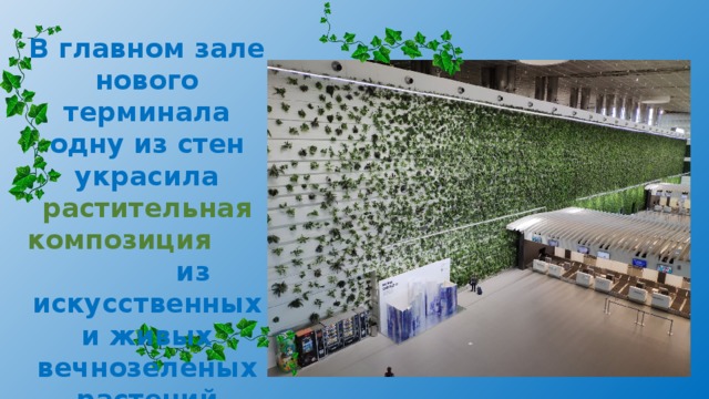 В главном зале нового терминала одну из стен украсила растительная композиция из искусственных и живых вечнозеленых растений 
