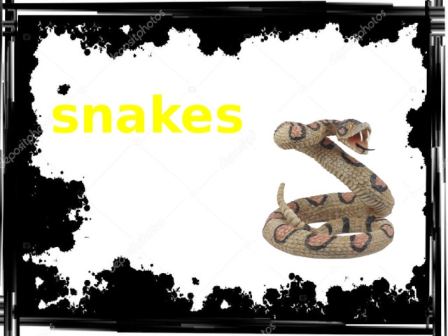 snakes 