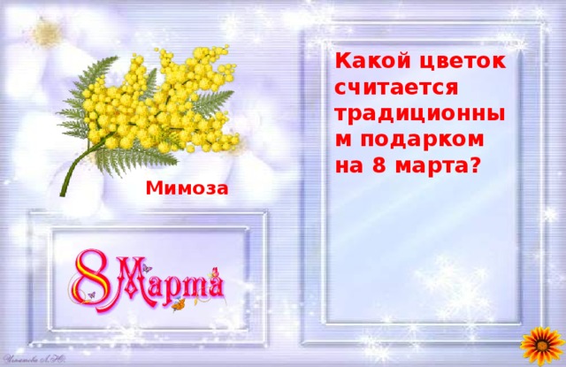 Какой цветок считается традиционным подарком на 8 марта?  Мимоза 