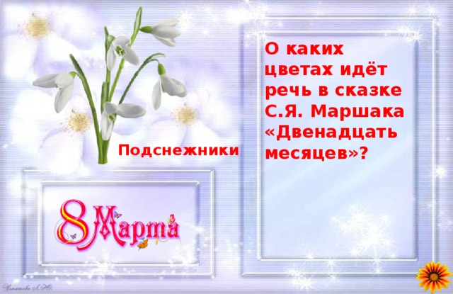 О каких цветах идёт речь в сказке С.Я. Маршака «Двенадцать месяцев»?  Подснежники 