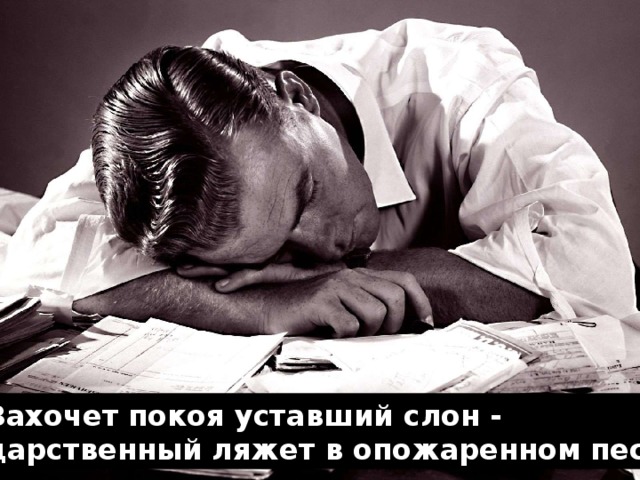 Захочет покоя уставший слон -  царственный ляжет в опожаренном песке.