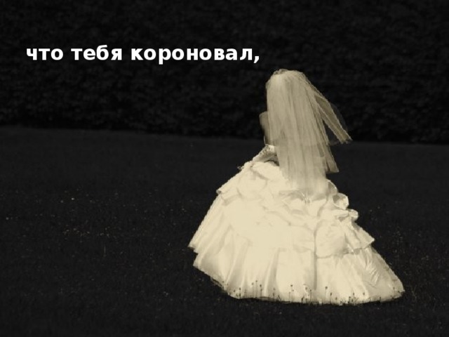 что тебя короновал,