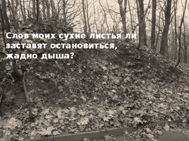Слов моих сухие листья ли  заставят остановиться,  жадно дыша?