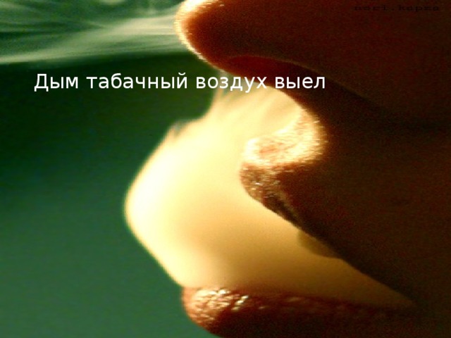 Дым табачный воздух выел