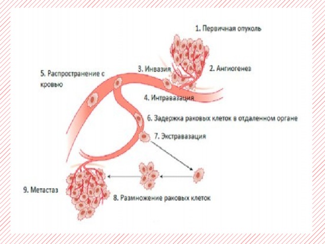 Контролируемая доставка факторов ангиогенеза презентация