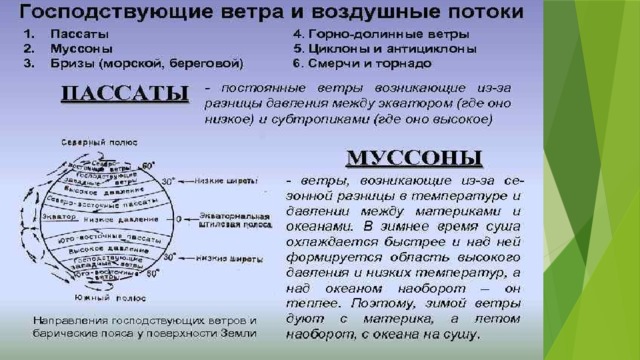 Преобладающие ветры зимой и летом