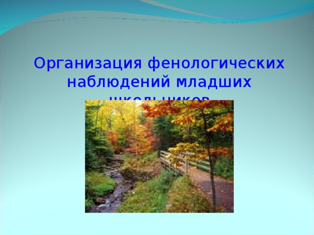 Фенологические изменения в природе осенью. Вопросы для фенологических наблюдений с младшими школьниками осенью. Фенологический проект для младших школьников. Фенологическая тропа. 5 Rkfcc знать о фенологических наблюдениях в природе и их организации..