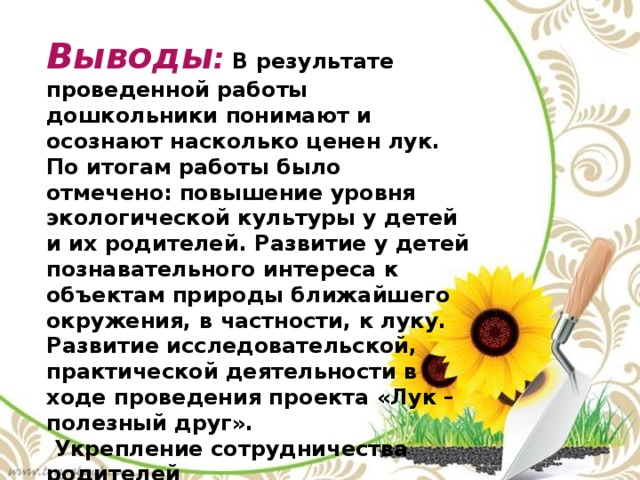 Формирование учебно-познавательных компетенций учащихся на уроках информатики по