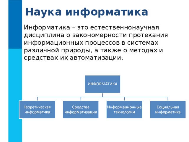 Информационные связи в системах различной природы презентация 10 класс