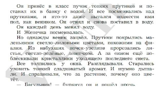 Изложение костя принес в класс пучок тонких 4 класс презентация