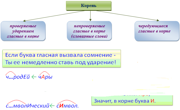 Проверяем слова с безударной гласной буквой в корне слова