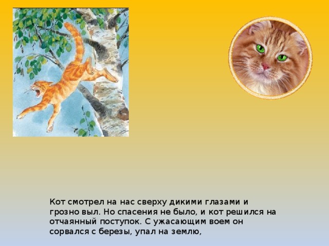 Чтение рассказа к паустовского кот ворюга занятие в старшей группе презентация