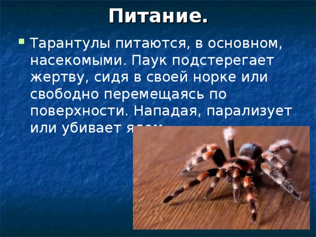 Питание. Тарантулы питаются, в основном, насекомыми. Паук подстерегает жертву, сидя в своей норке или свободно перемещаясь по поверхности. Нападая, парализует или убивает ядом. 