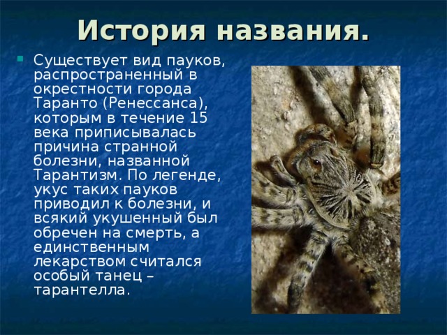 История названия. Существует вид пауков, распространенный в окрестности города Таранто (Ренессанса), которым в течение 15 века приписывалась причина странной болезни, названной Тарантизм. По легенде, укус таких пауков приводил к болезни, и всякий укушенный был обречен на смерть, а единственным лекарством считался особый танец – тарантелла. 