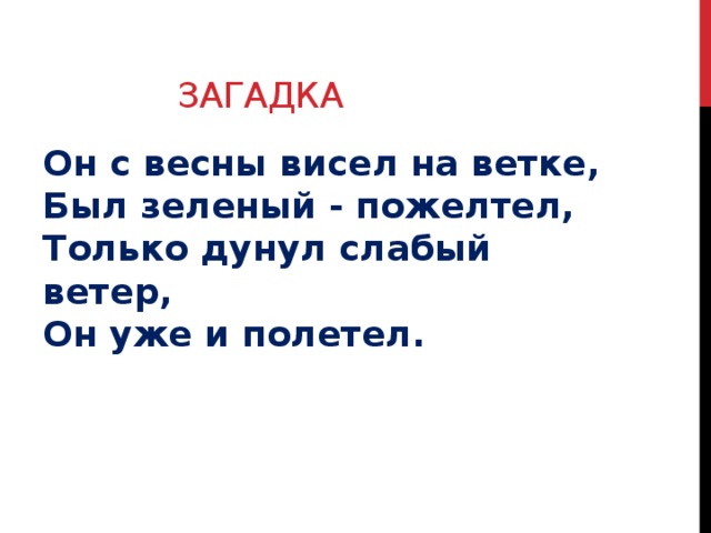 ЗАГАДКА Он с весны висел на ветке,   Был зеленый - пожелтел,   Только дунул слабый ветер,   Он уже и полетел.    