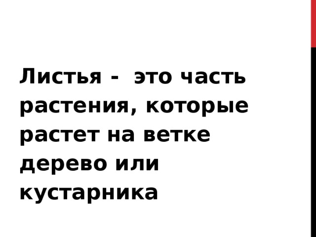 Листья - это часть растения, которые растет на ветке дерево или кустарника  