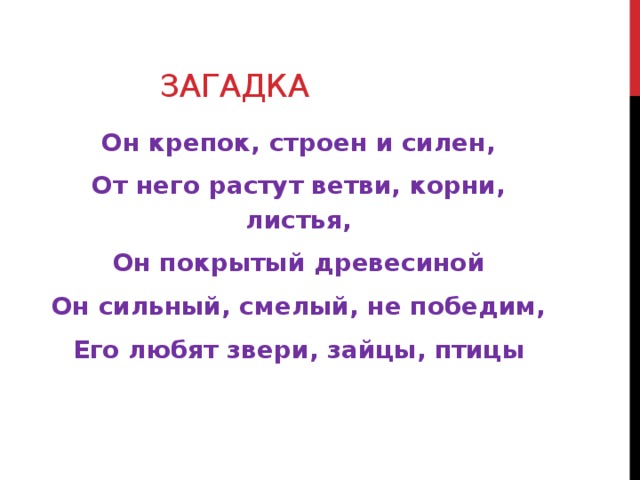 Загадка Он крепок, строен и силен, От него растут ветви, корни, листья, Он покрытый древесиной Он сильный, смелый, не победим, Его любят звери, зайцы, птицы  