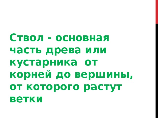 Ствол - основная часть древа или кустарника от корней до вершины, от которого растут ветки 