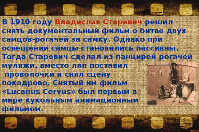 В 1910 году Владислав  Старевич решил снять документальный фильм о битве двух самцов-рогачей за самку. Однако при освещении самцы становились пассивны. Тогда Старевич сделал из панцирей рогачей муляжи, вместо лап поставил  проволочки и снял сцену покадрово. Снятый им фильм «Lucanus Cervus» был первым в мире кукольным анимационным фильмом. 