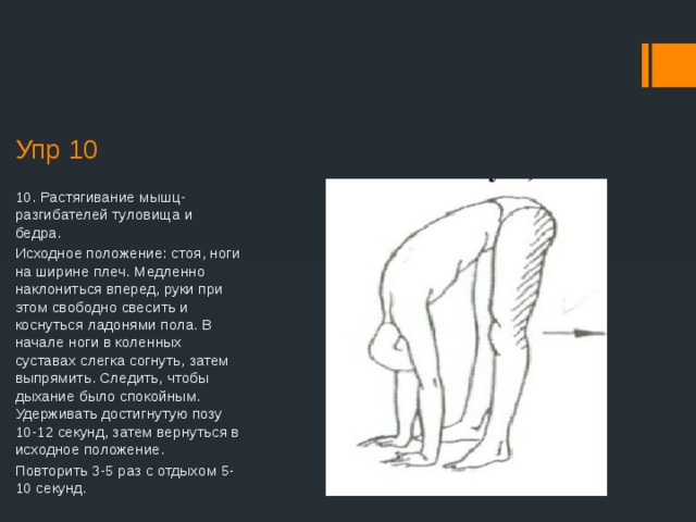 Наклоны вперед из положения стоя техника выполнения