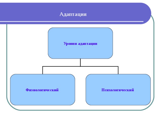 Адаптация  Уровни адаптации Физиологический Психологический 